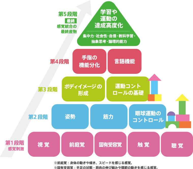 感覚統合とは